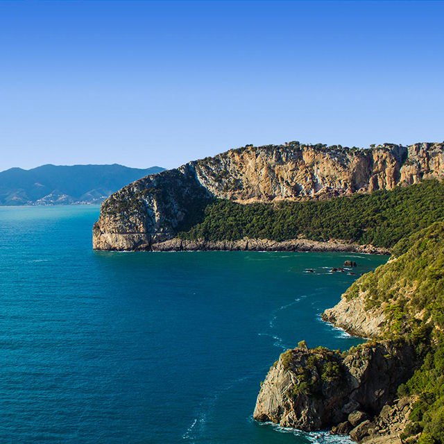 Vol Paris - Bejaia