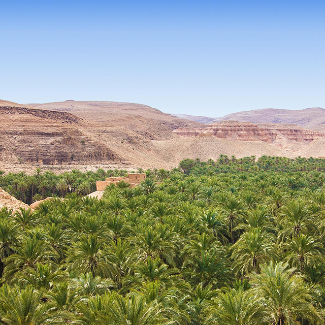 Vol Paris - Biskra