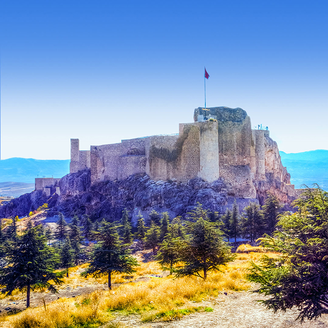 Vol Paris - Elazig