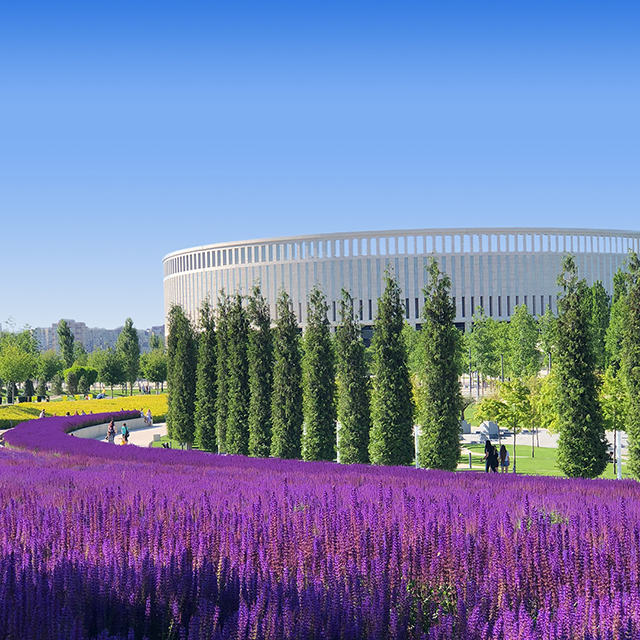 Vol Paris - Krasnodar