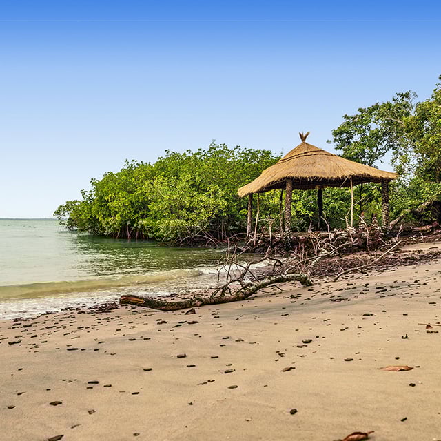 Vol Paris - Bissau
