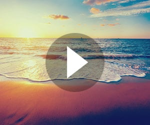 Visionnez la vidéo explicative