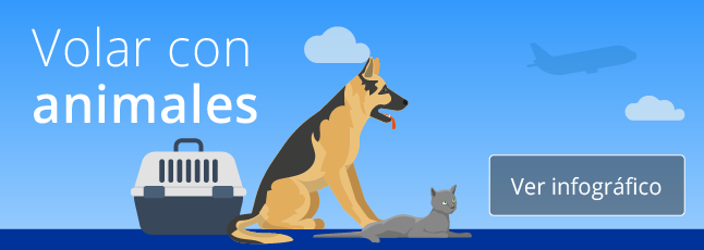 Confinar Medicina Forense densidad Viajar con mascotas: información, normas y consejos