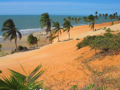 Cheap flights from Miami to Fortaleza with Gol