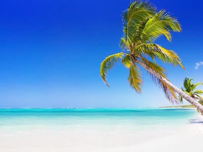 Book flights from Brussels to Punta Cana with TUI fly