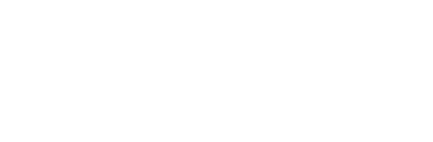 January Sale